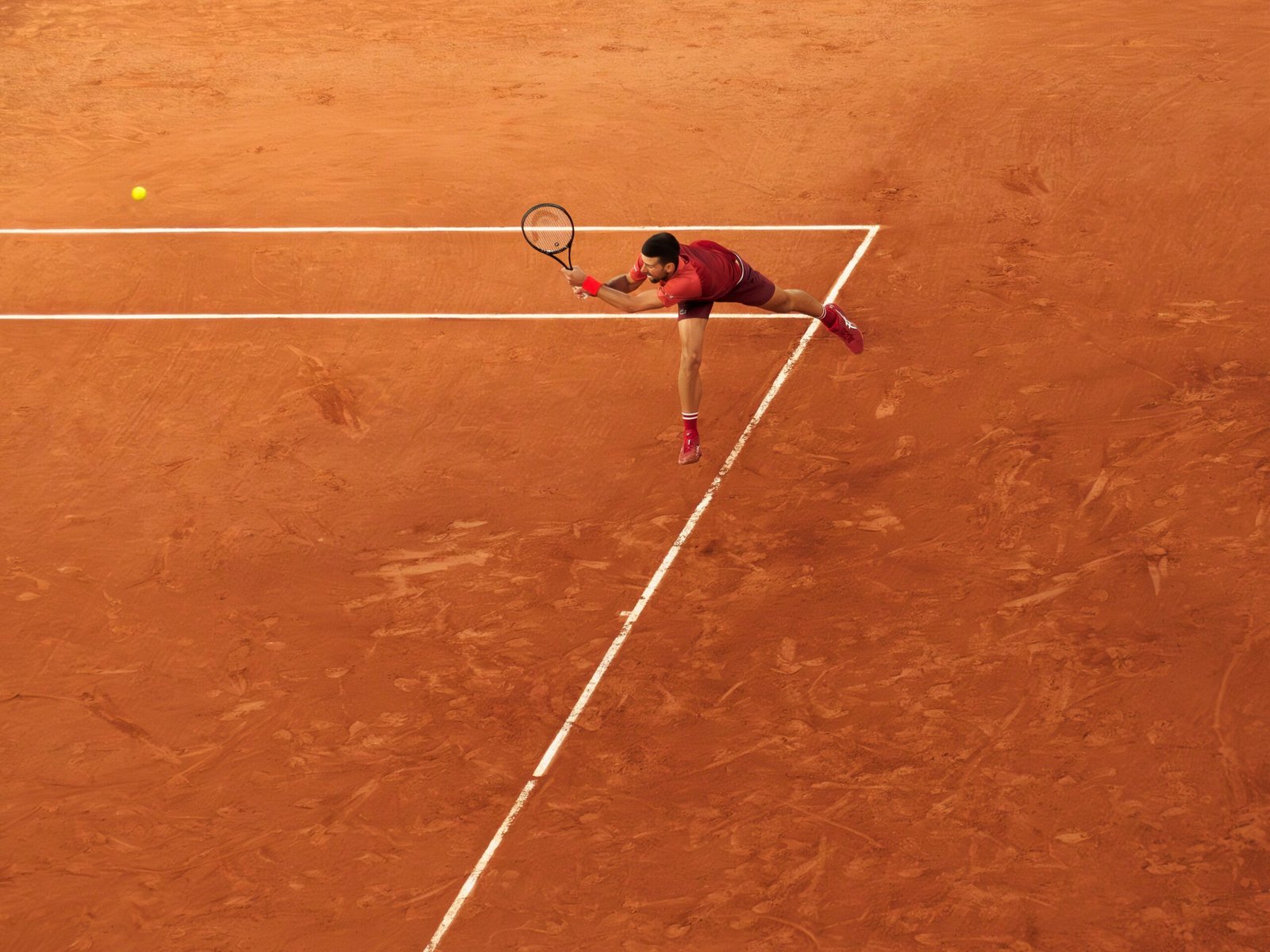 Novak Djokovic: The Relentless Challenger (image credits: wikimedia)