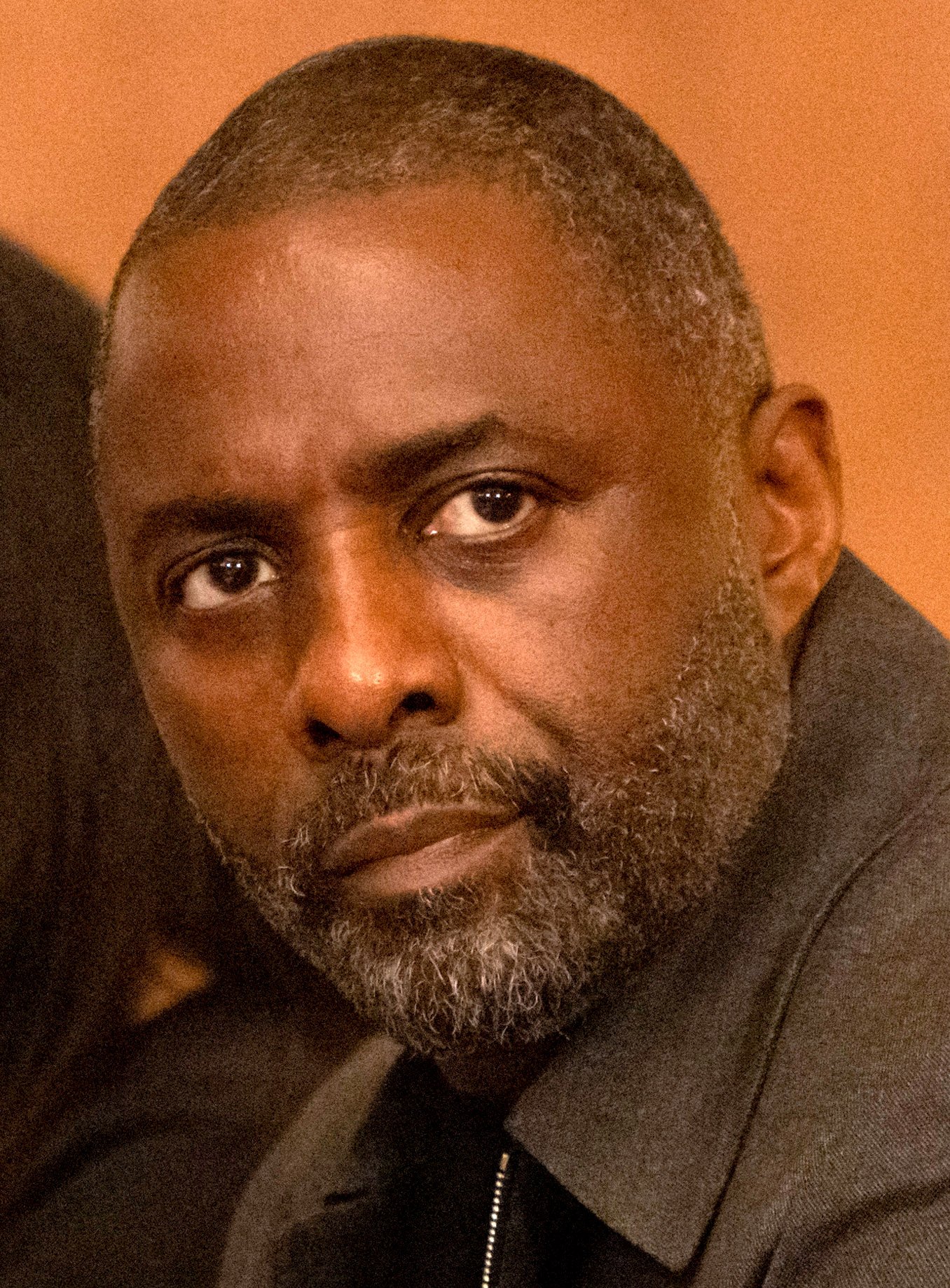 The Wire (2002–2008) (image credits: wikimedia)