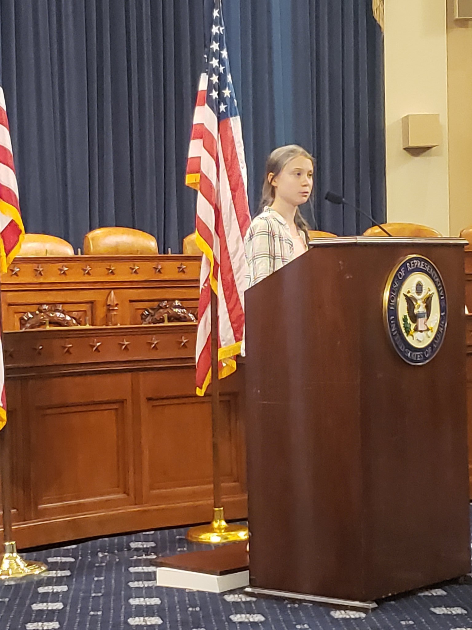 Greta Thunberg’s Speech to the U.S. Congress, 2019 (image credits: wikimedia)