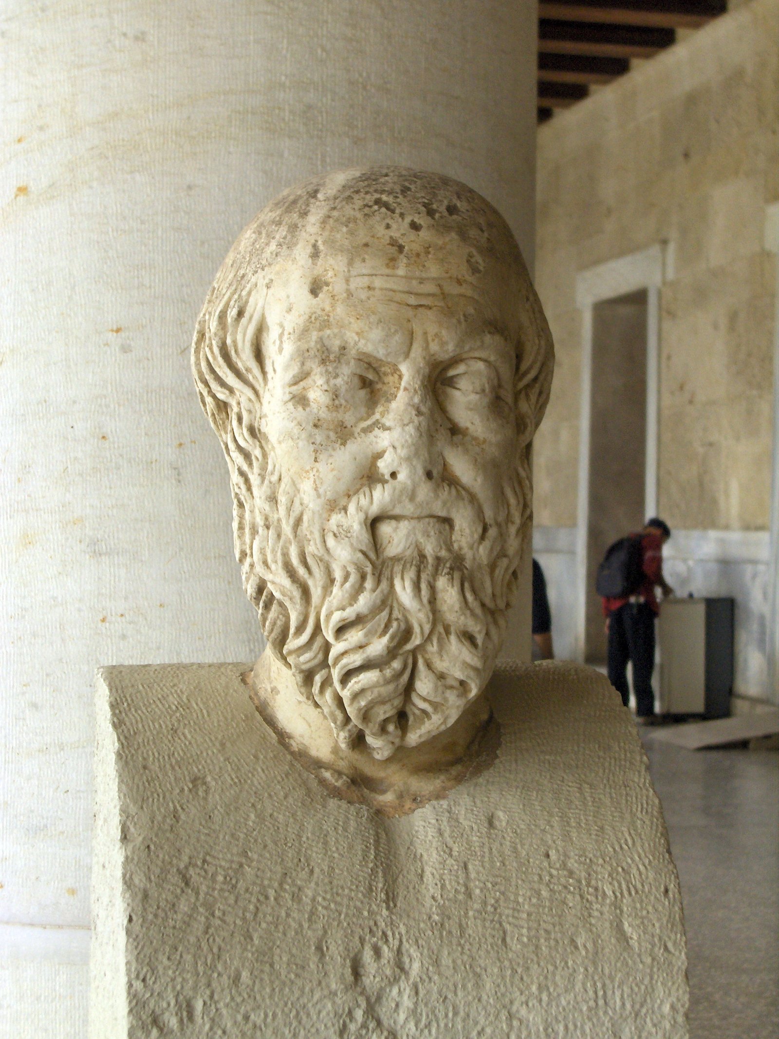 The Histories by Herodotus (image credits: wikimedia)