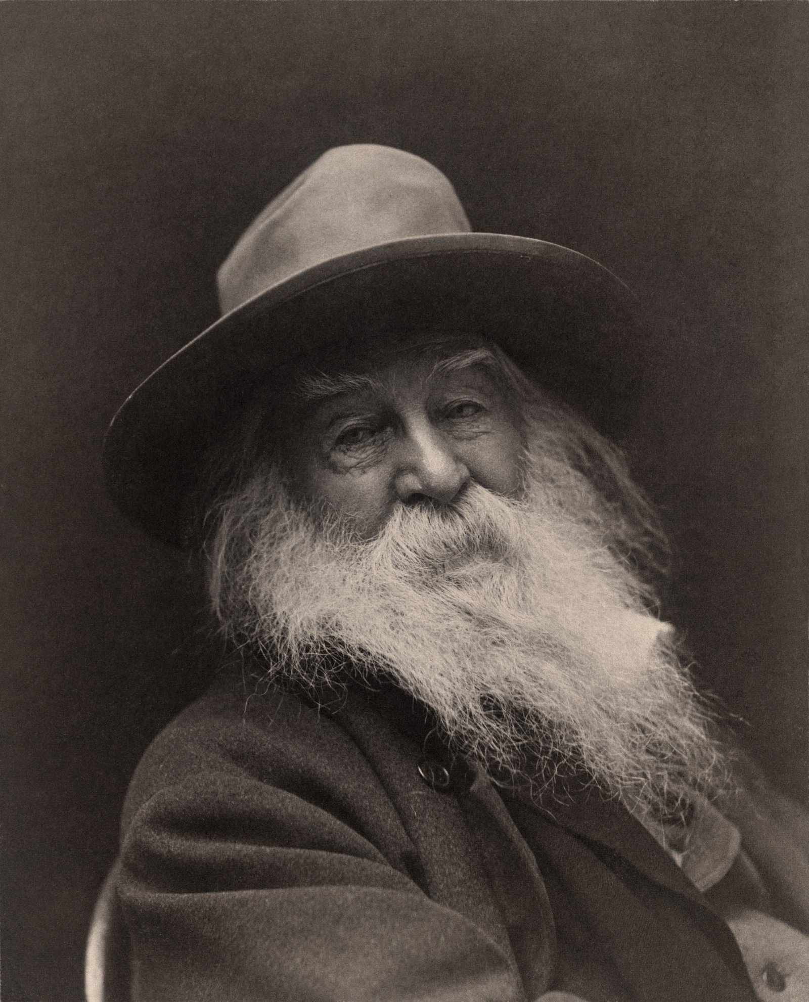 Leaves of Grass: Walt Whitman’s Radical Vision (image credits: wikimedia)