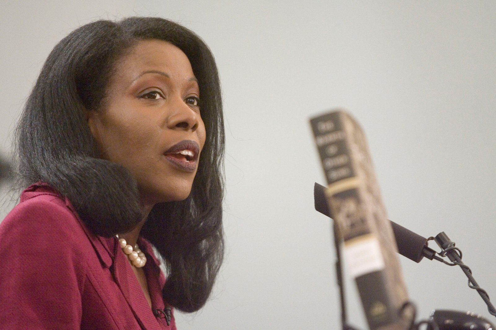 The Warmth of Other Suns by Isabel Wilkerson (image credits: wikimedia)