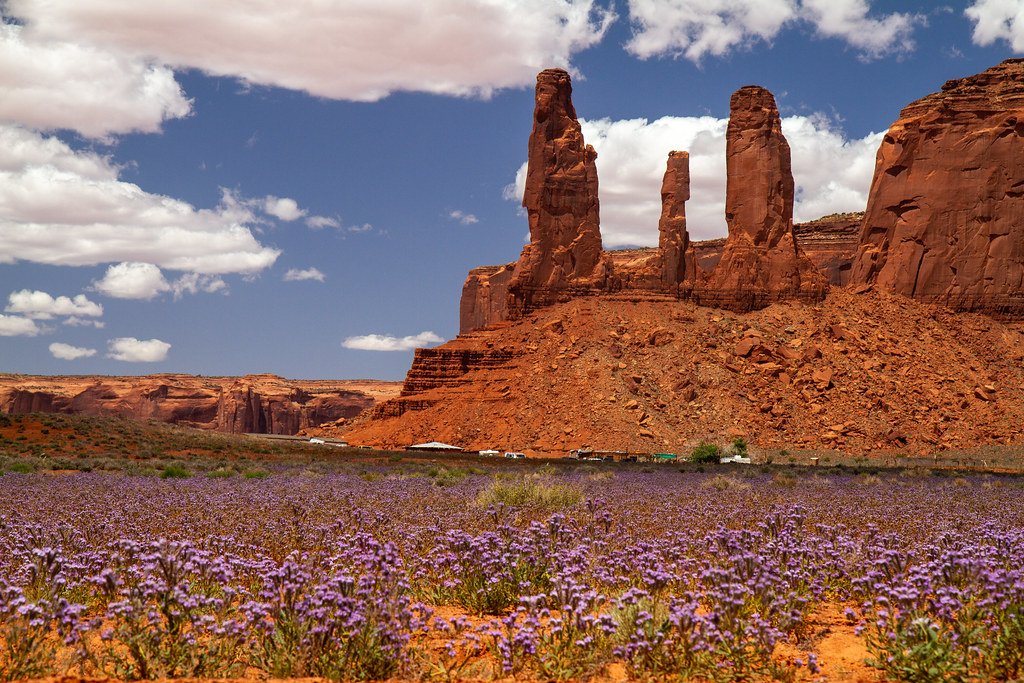 The Overlooked Origins of Bears Ears (image credits: flickr)