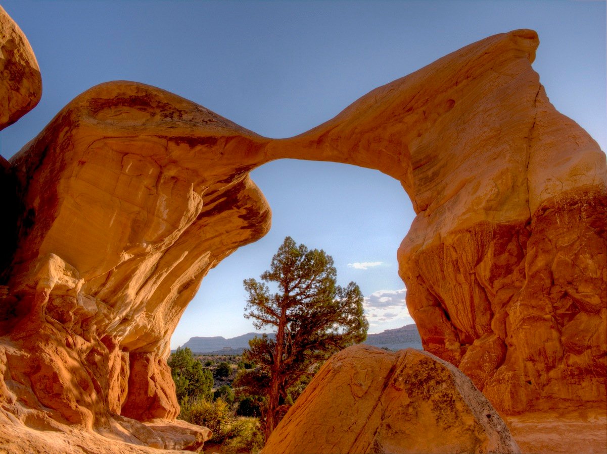 Contested Ground at Bears Ears and Grand Staircase-Escalante (image credits: wikimedia)
