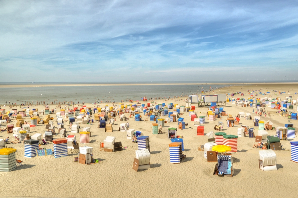 Seasonal & Situational Favorites: Perfect for Summer & Travel (image credits: rawpixel)