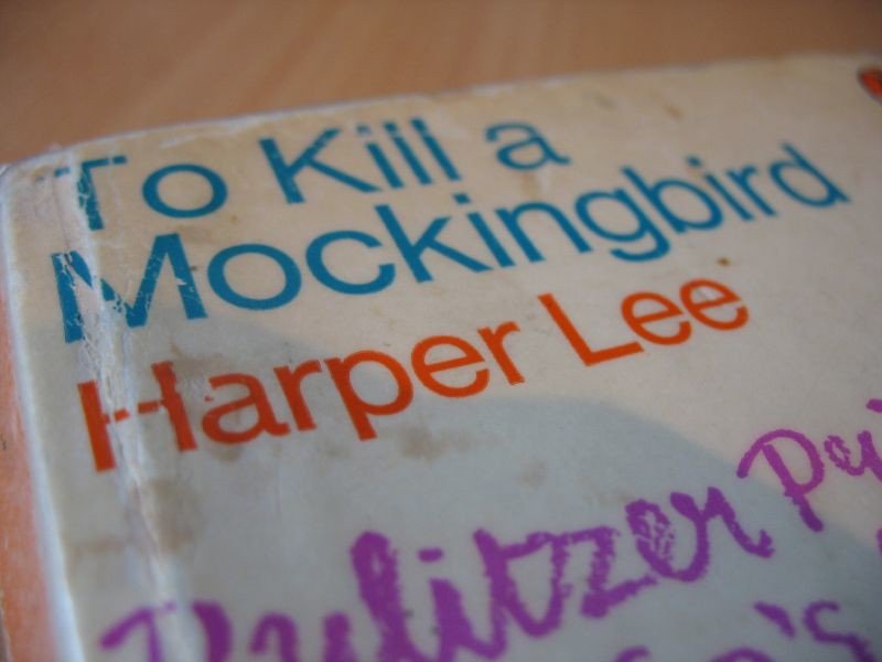 To Kill a Mockingbird: Justice and Innocence in the Deep South (image credits: flickr)