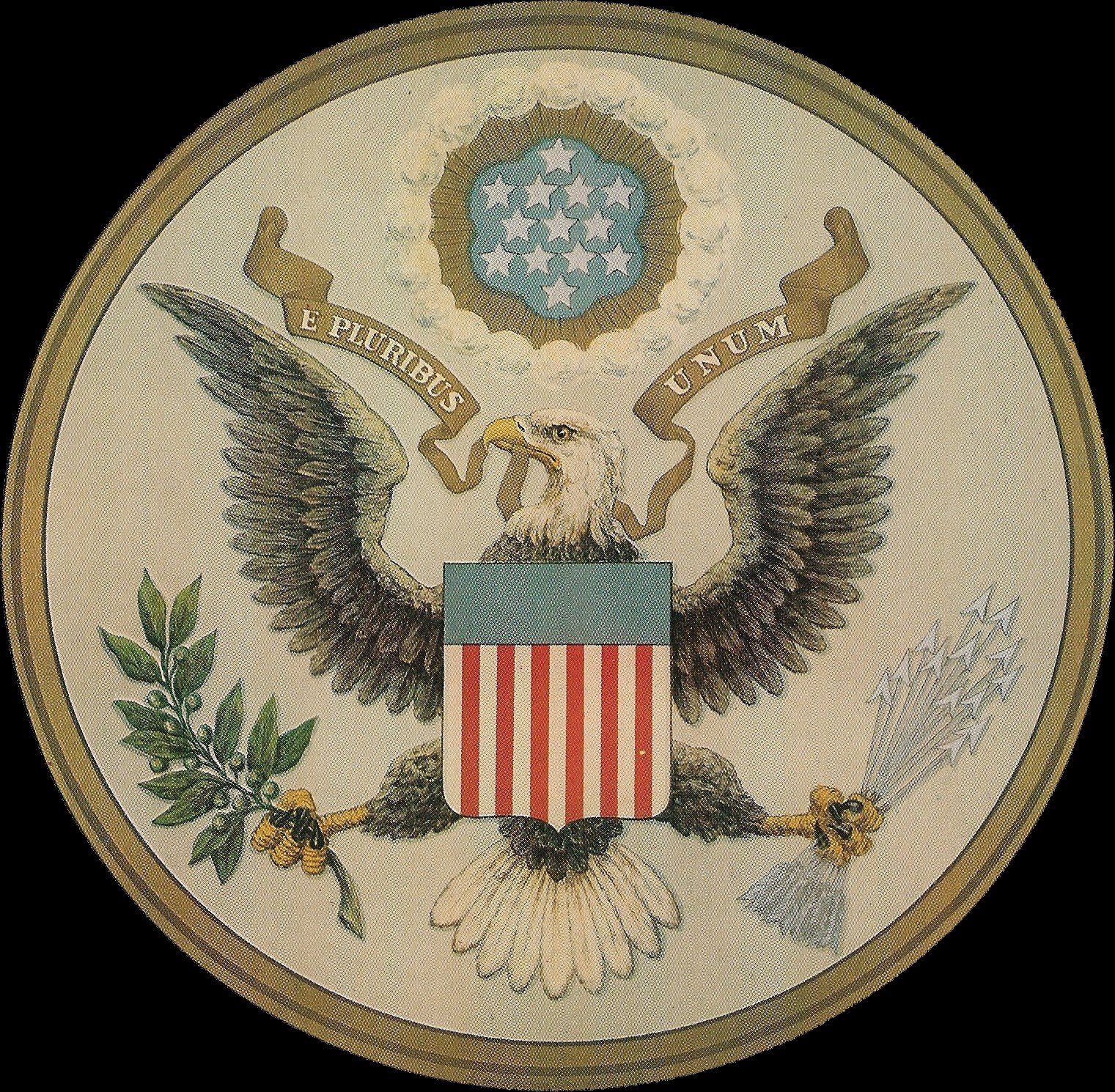 The Bald Eagle’s Hidden Arrows and Olive Branch (image credits: wikimedia)
