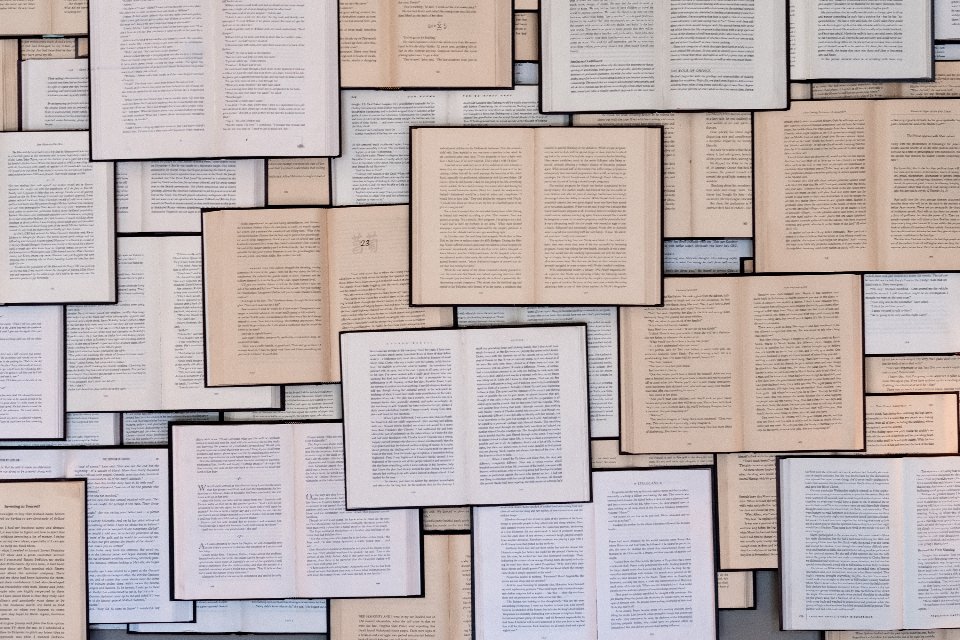 The 20 First and Last Sentences of These Books Say Everything