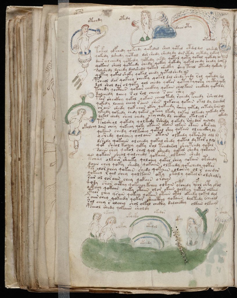 1. The Voynich Manuscript (image credits: flickr)