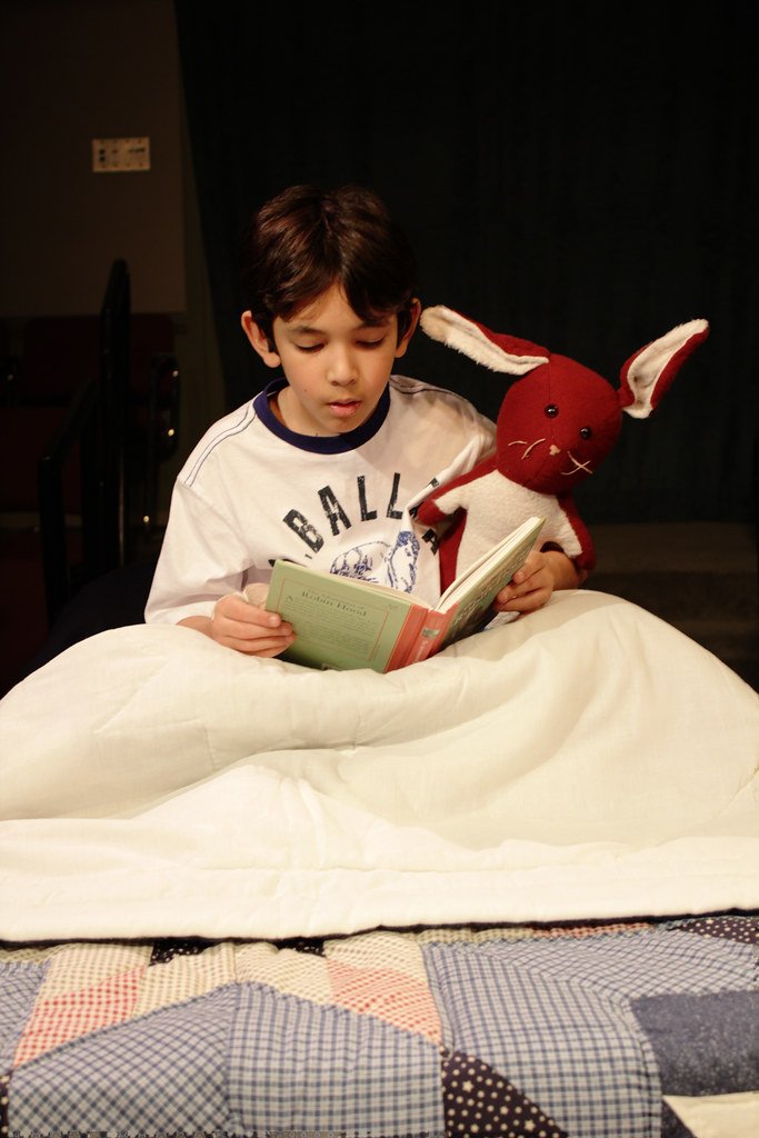 9. The Velveteen Rabbit – Illness and Immortality (image credits: flickr)