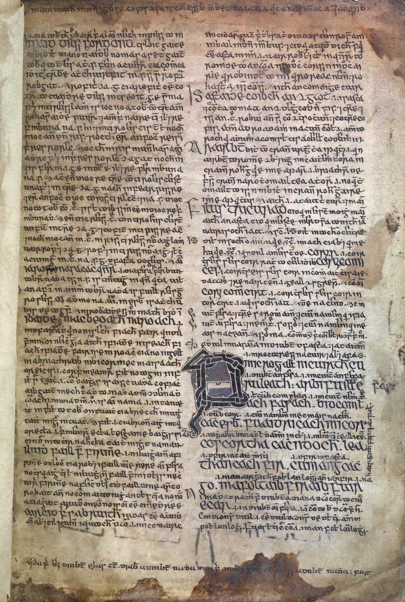 The Annals of the Kingdom of Ireland Before the Vikings (image credits: wikimedia)