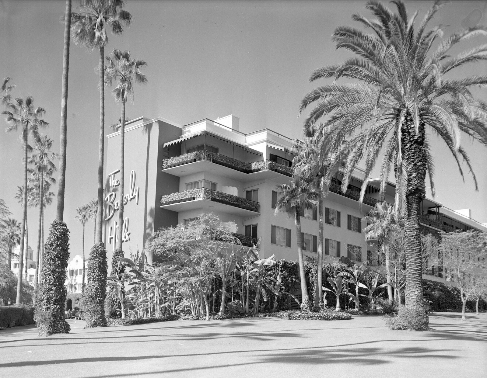 Hotel California – The Eagles’ Tale of Temptation and Disillusionment (image credits: wikimedia)