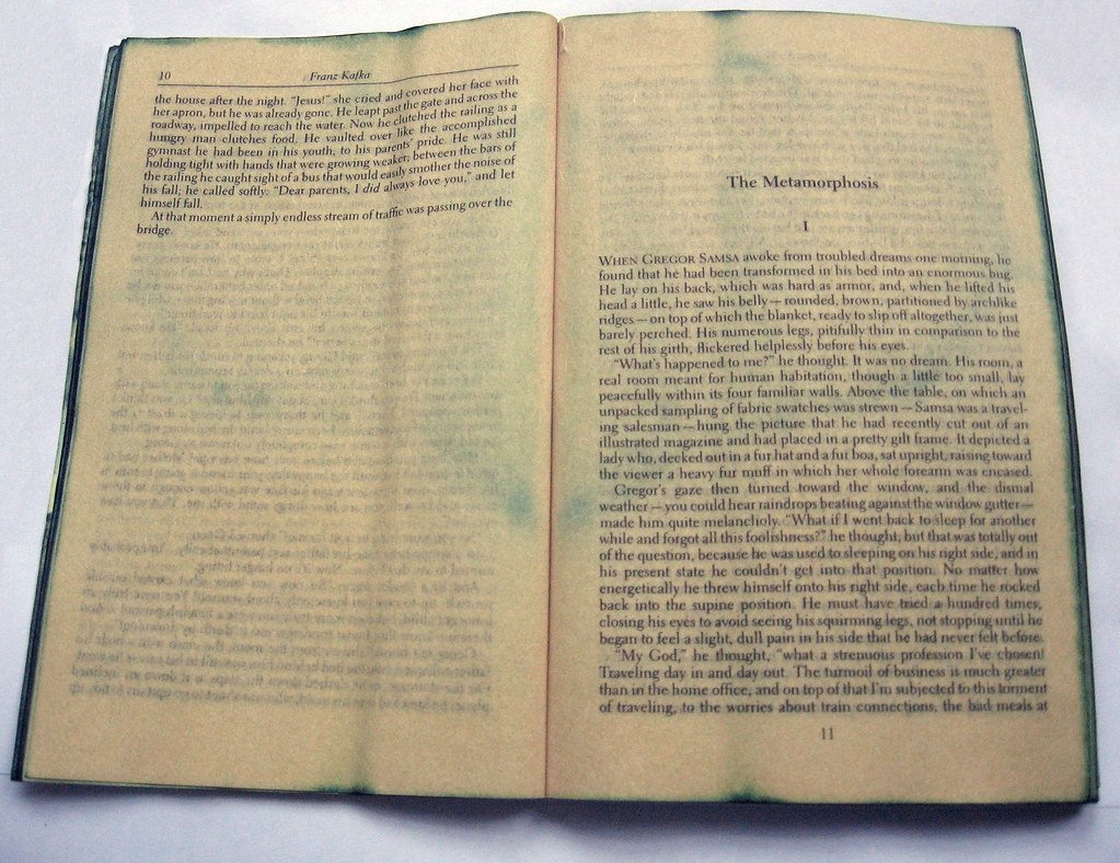 18. The Metamorphosis by Franz Kafka (image credits: flickr)