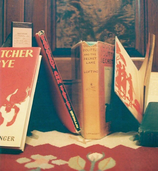 The 25 Most Misunderstood Books of All Time