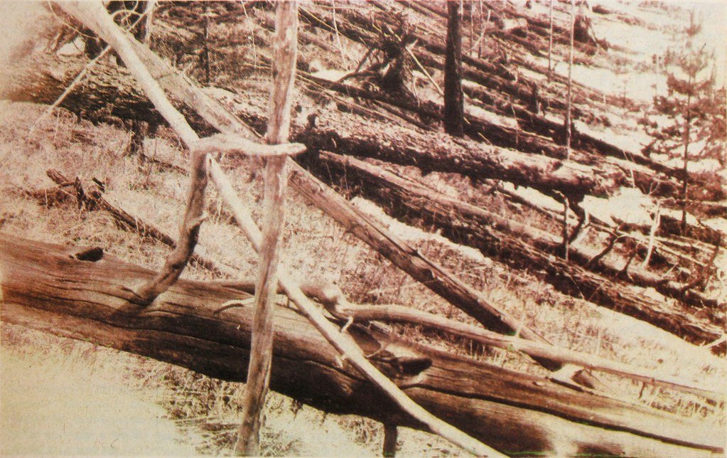 The Tunguska Event - Siberia's Mysterious Explosion (image credits: flickr)
