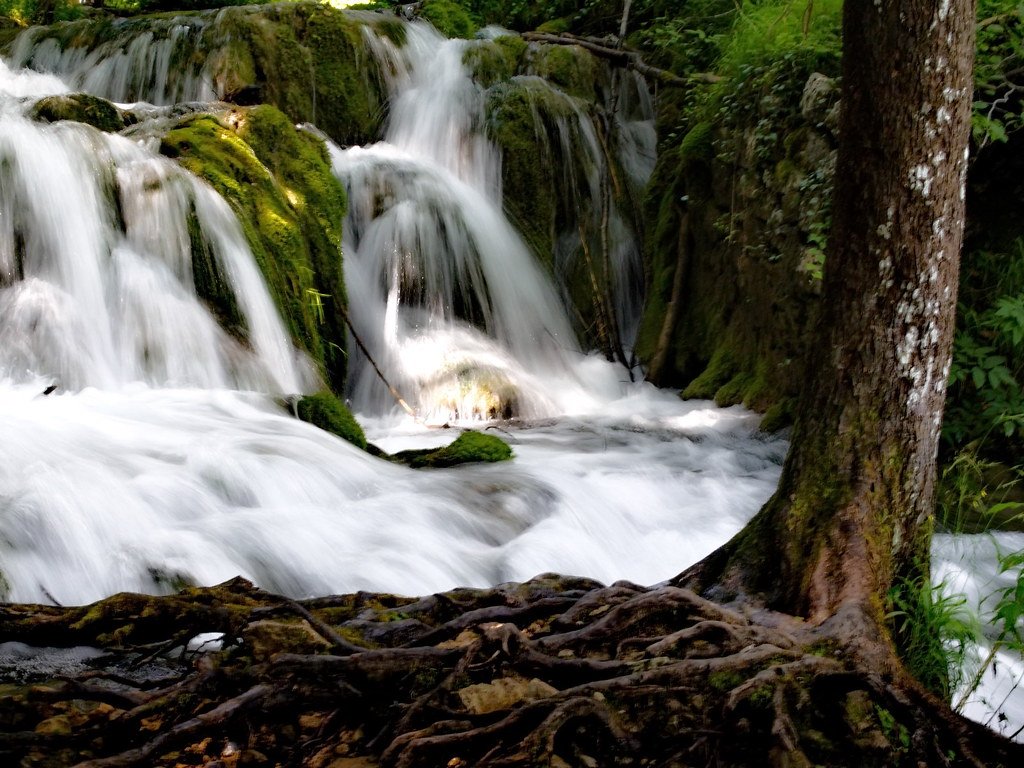 Plitvice Lakes and “Avatar’s” Pandora (image credits: flickr)