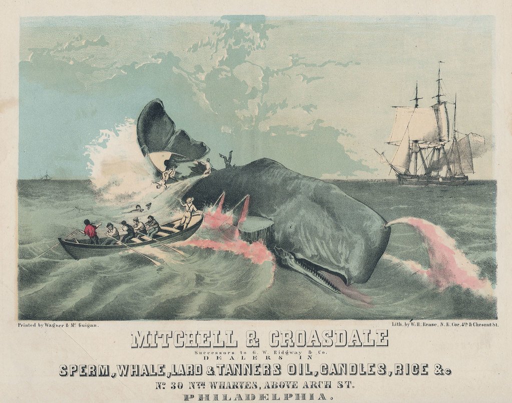 Moby-Dick and the Sinking of the Essex (image credits: flickr)