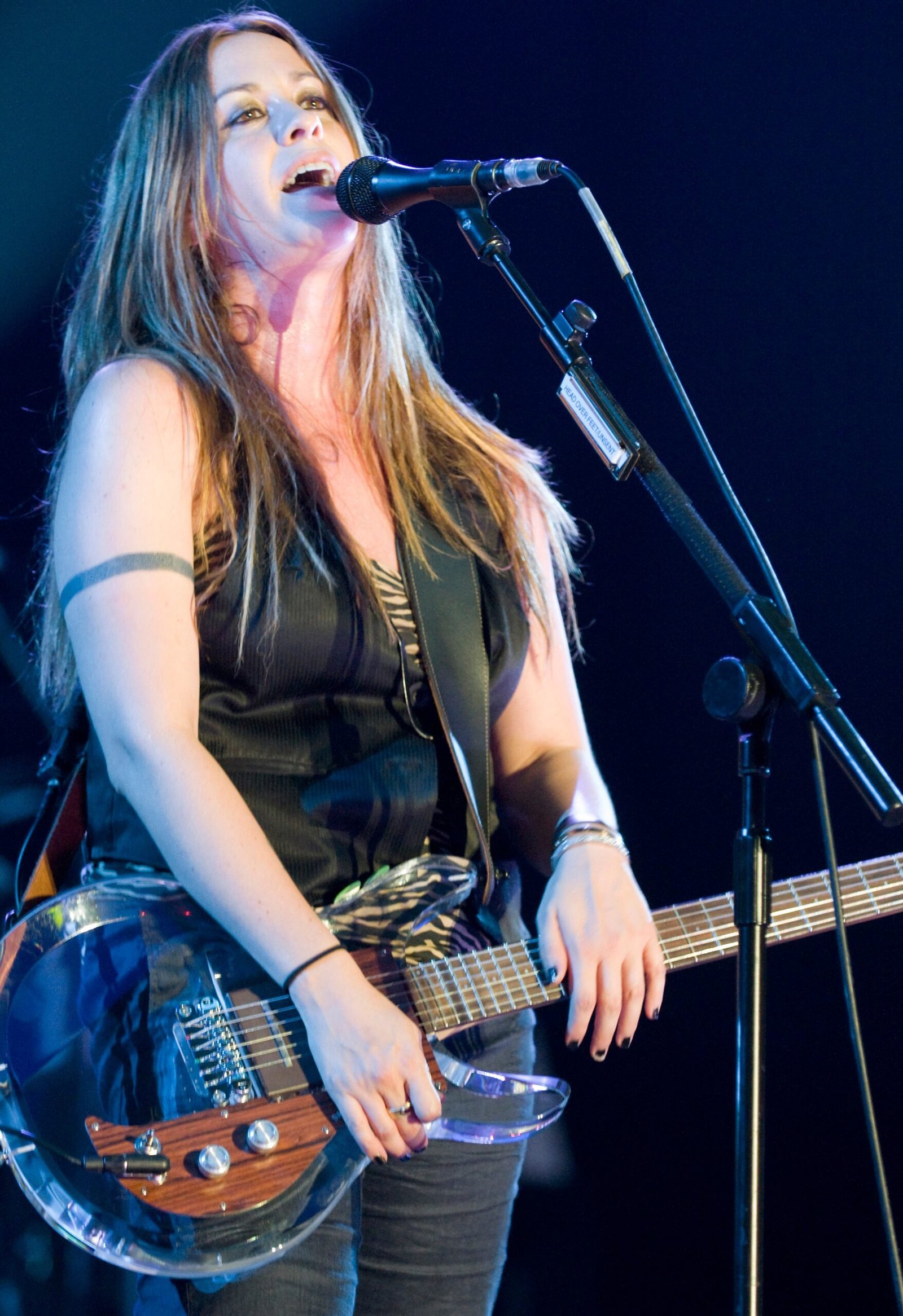 Alanis Morissette – Jagged Little Pill (1995) (image credits: wikimedia)