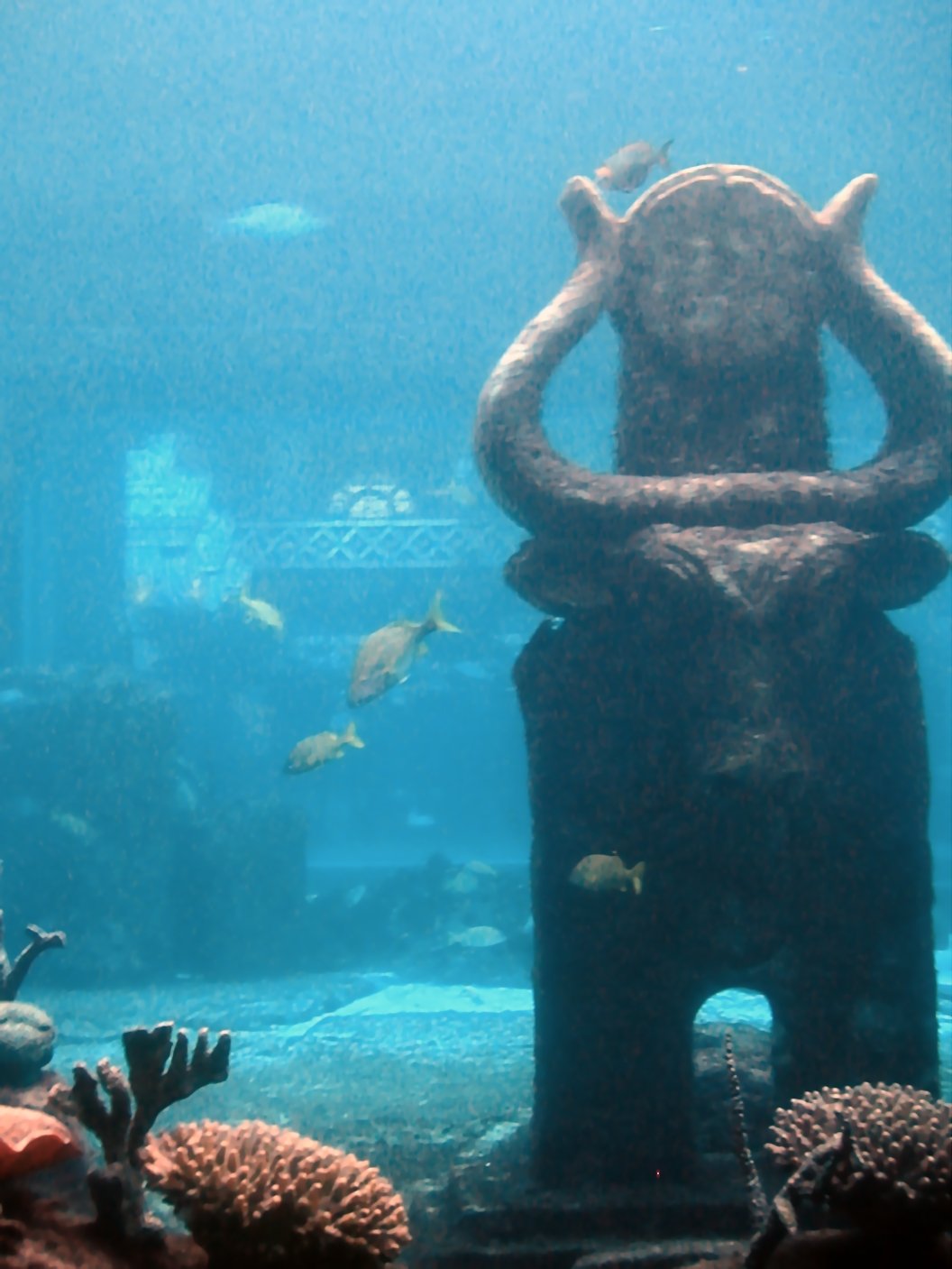 Atlantis: The Legendary Island That Vanished (image credits: wikimedia)