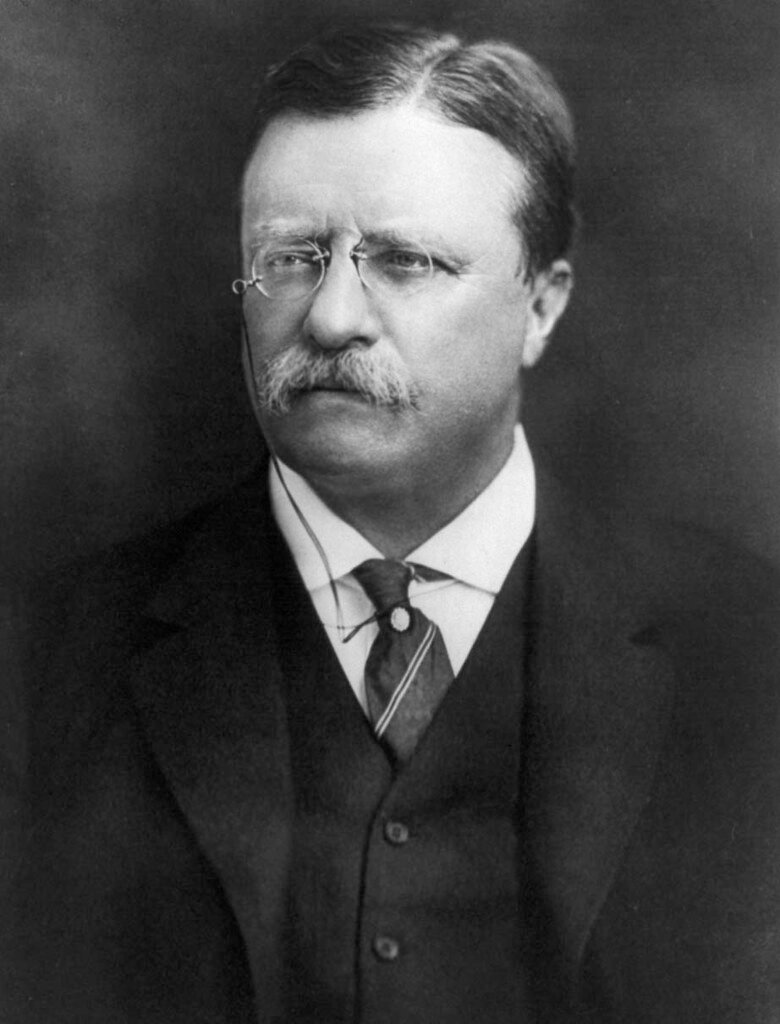 Teddy Roosevelt's Bull Moose Charge Back to Relevance (image credits: flickr)