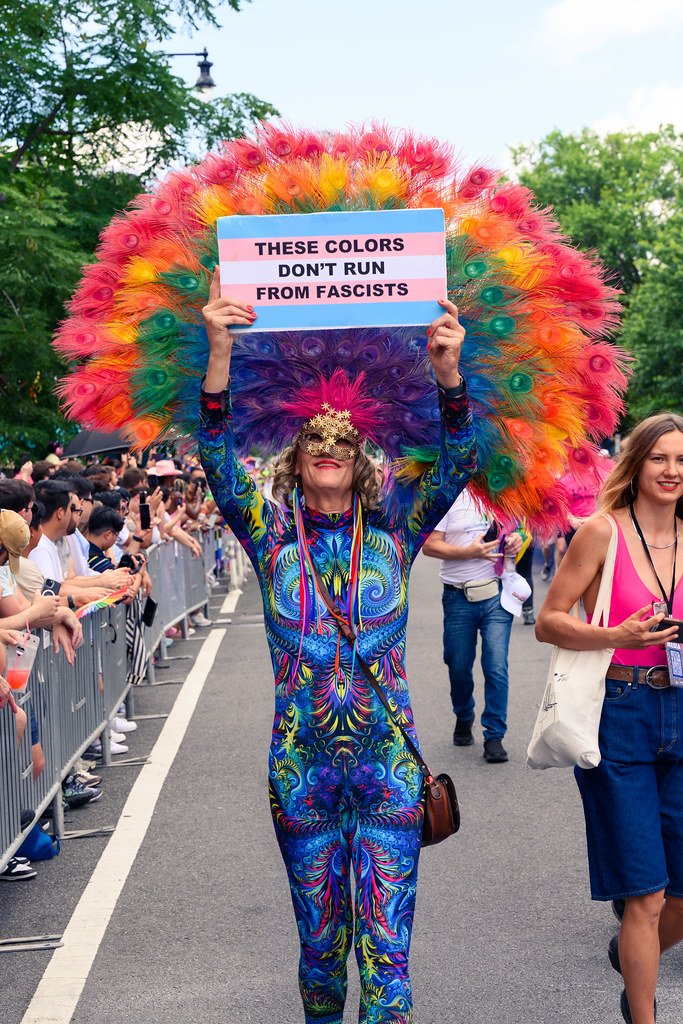 LGBTQ+ Rights: From Crisis to Civil Rights Triumph (image credits: flickr)