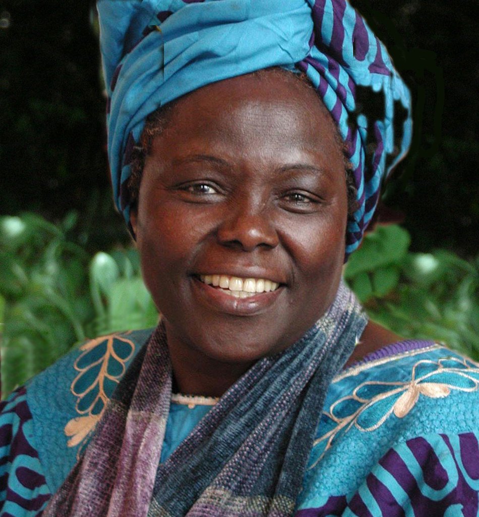The Tree Planter Who Won the Nobel Peace Prize (image credits: flickr)