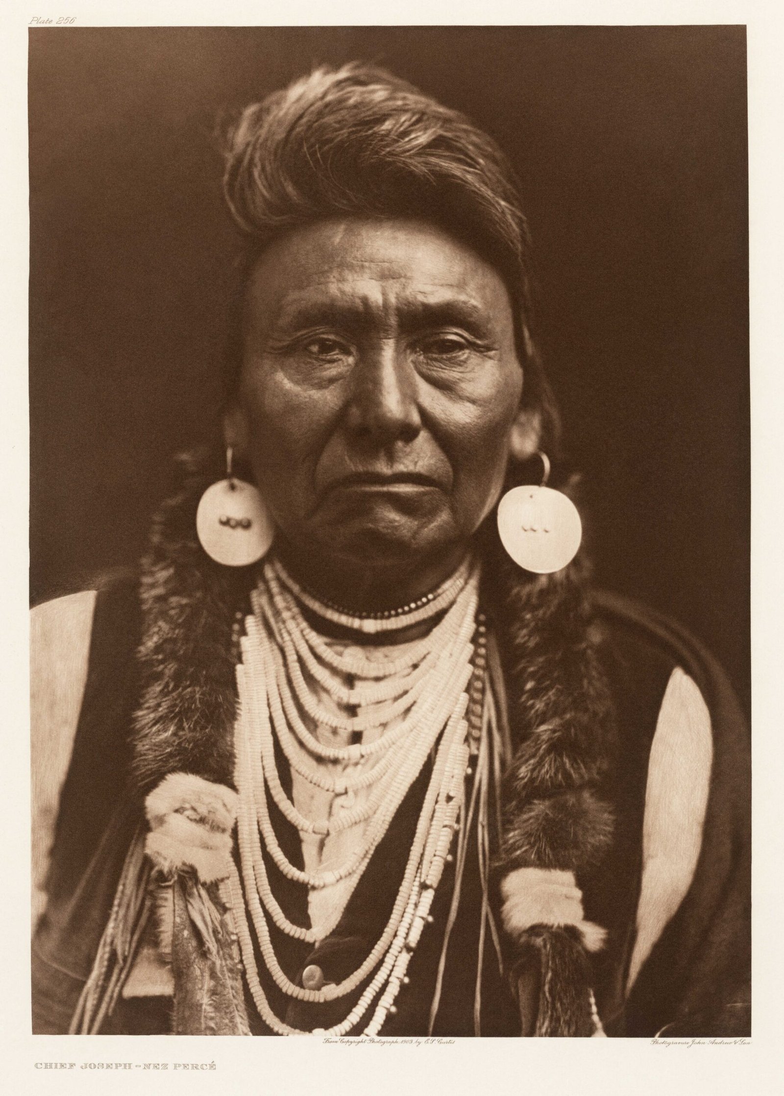 Chief Joseph's Surrender Speech Echoes in Indigenous Rights Movements (image credits: wikimedia)