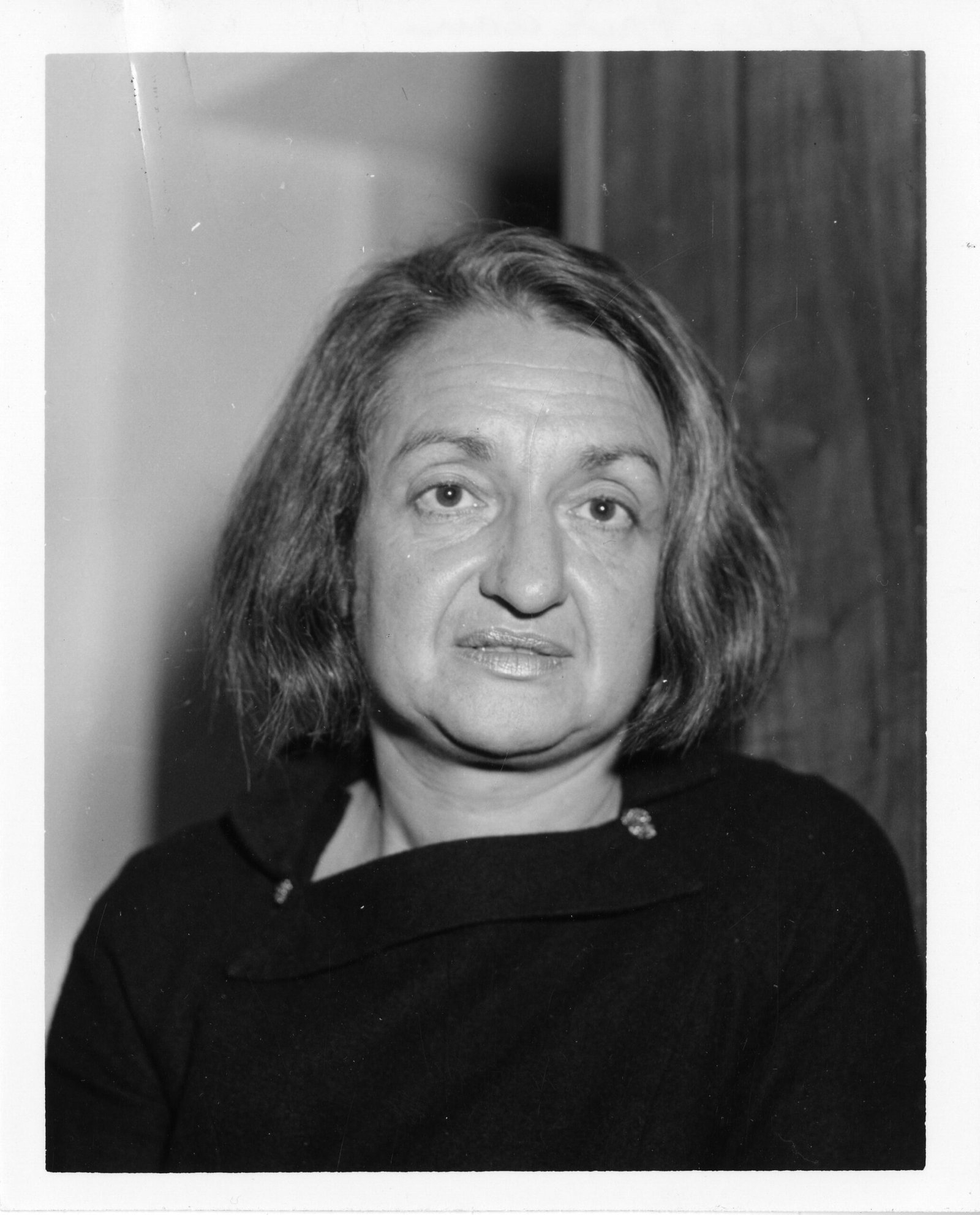 The Feminine Mystique and the Suburban Rebellion (image credits: wikimedia)