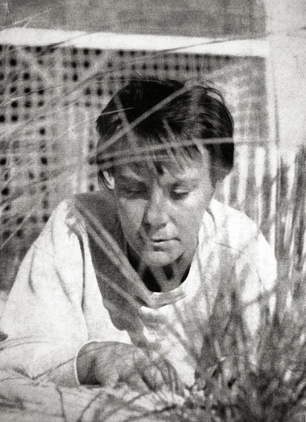 17. Harper Lee (image credits: wikimedia)