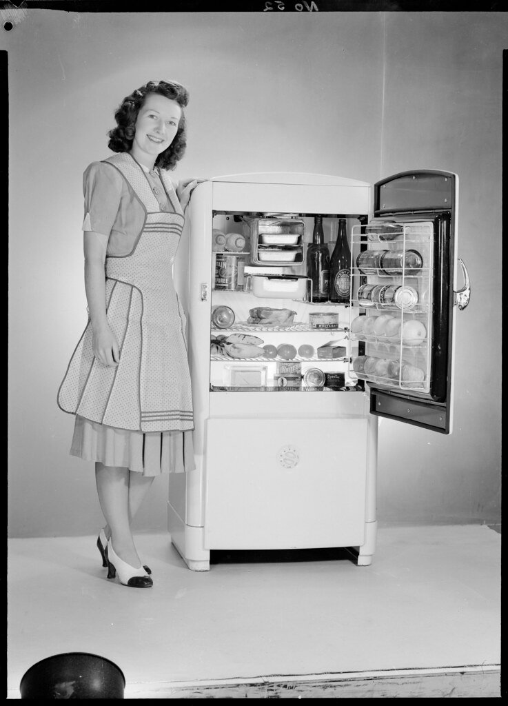 Modern Conveniences: When Home Appliances Were Luxury Items (image credits: flickr)