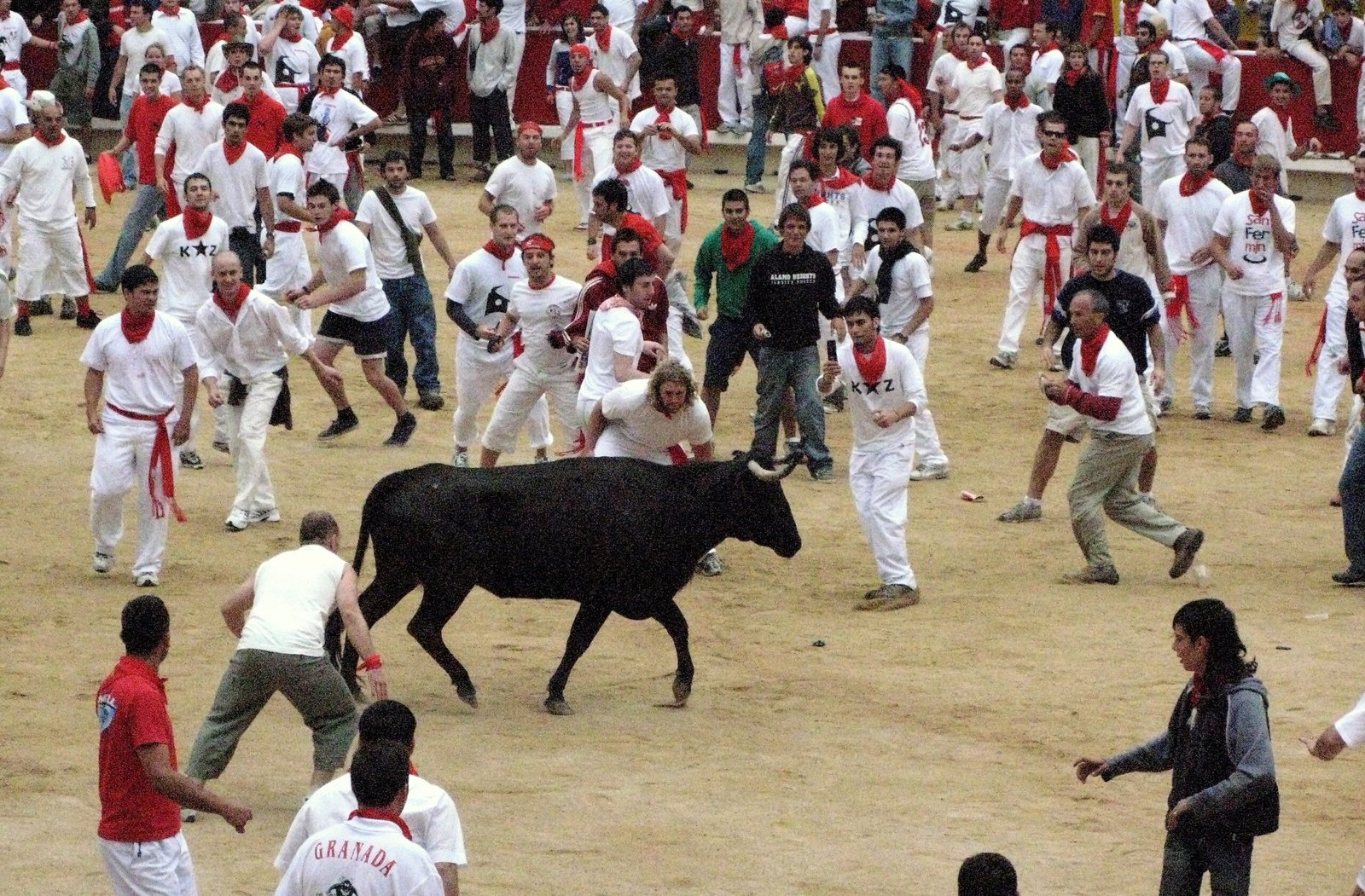 Pamplona: Running with Bulls and Building an Economy (image credits: wikimedia)
