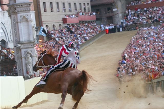 Palio di Siena: Medieval Horse Racing at Its Most Dangerous (image credits: wikimedia)