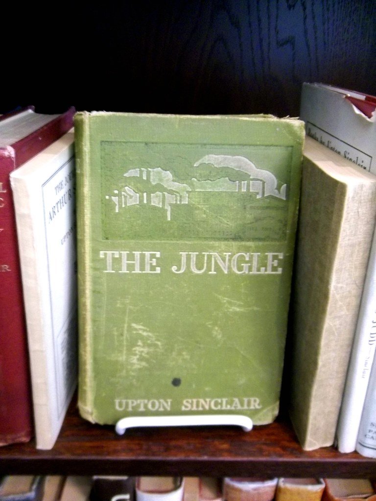 2. The Jungle by Upton Sinclair (image credits: flickr)
