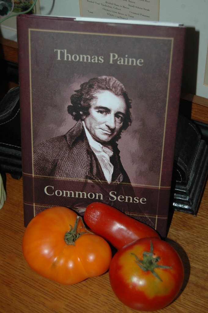 6. Common Sense by Thomas Paine (image credits: flickr)