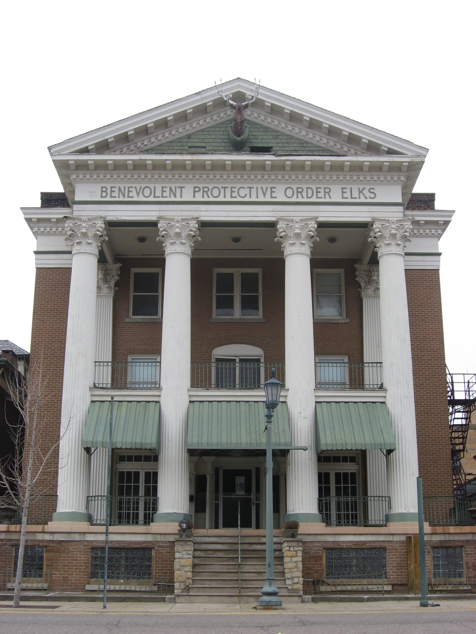 The Benevolent and Protective Order of the Elks in The Great Gatsby (image credits: wikimedia)