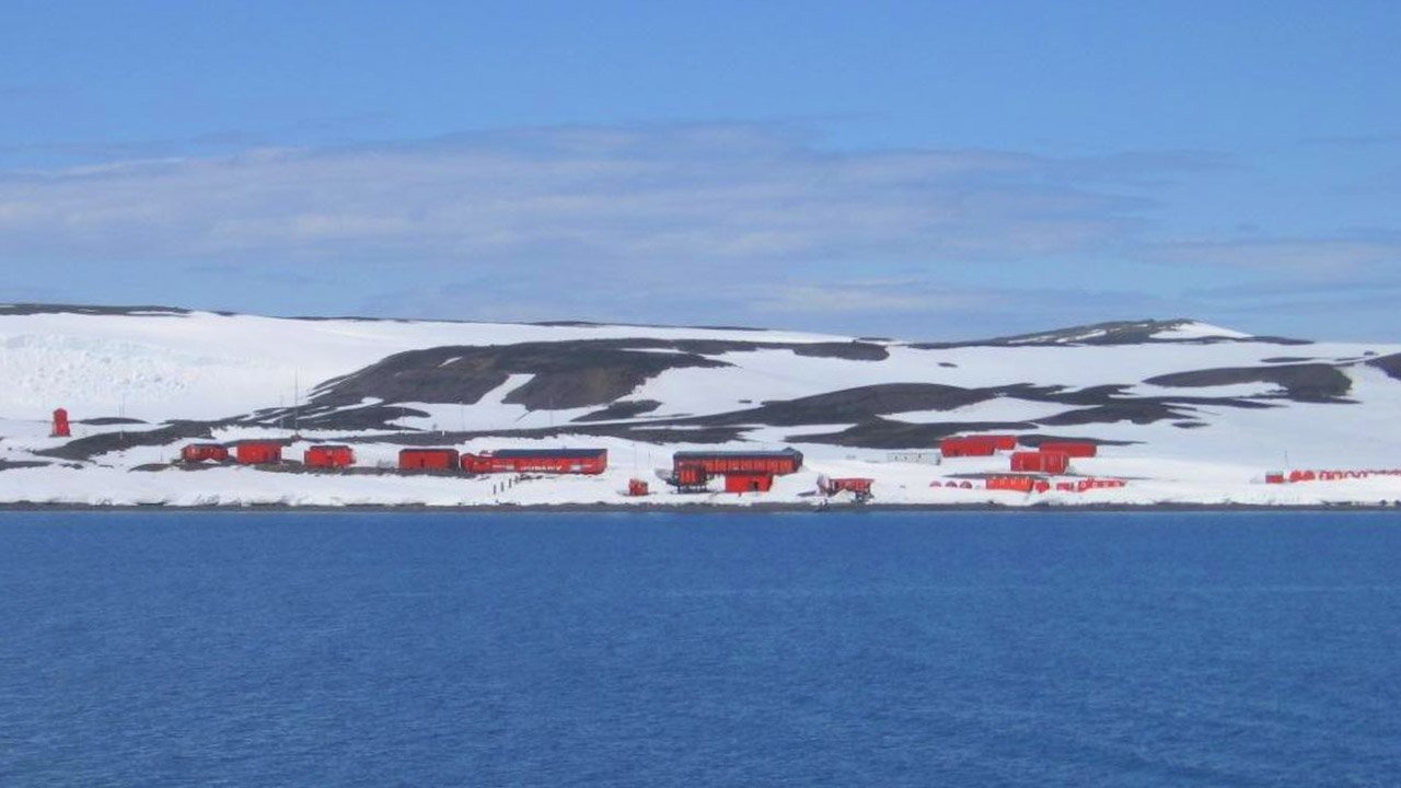 Metallica and the Arctic: Playing for Penguins (image credits: wikimedia)