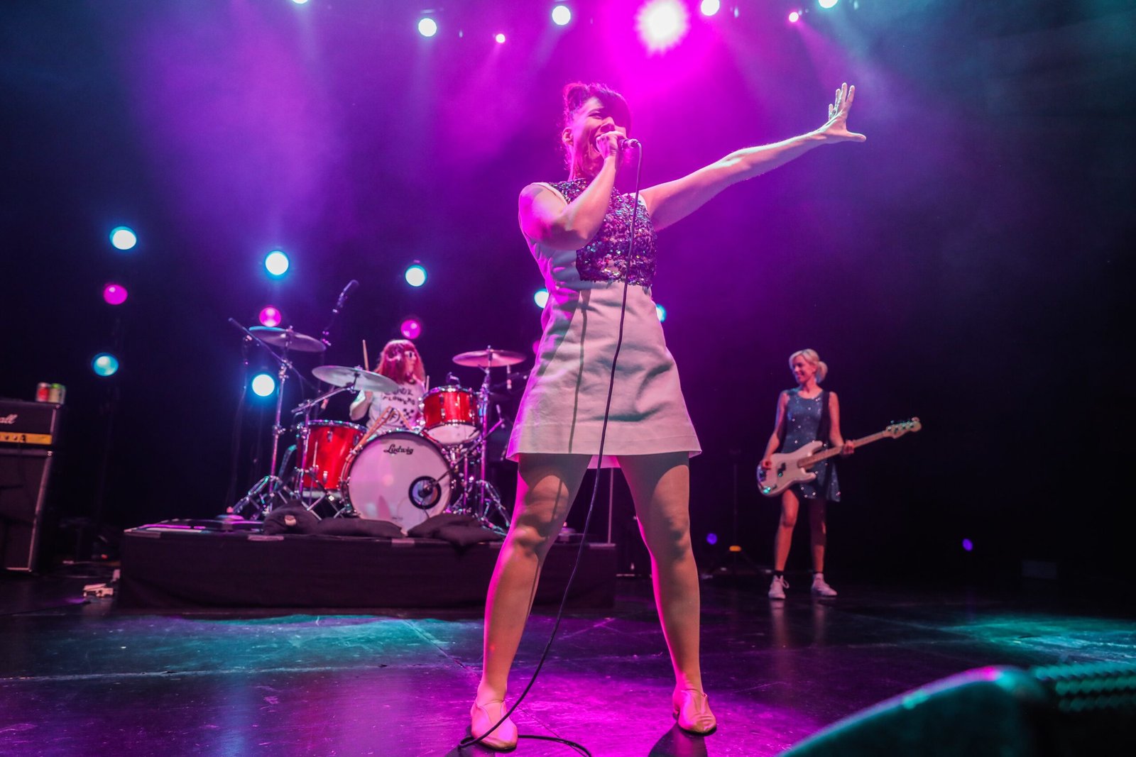 Bikini Kill and Kathleen Hanna - Riot Grrrl Revolutionaries (image credits: wikimedia)