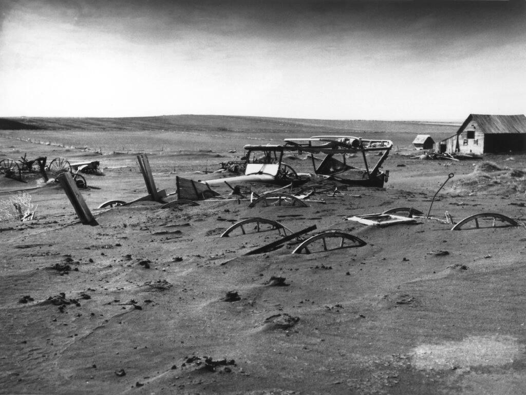 Historic Disasters That Inspired American Novels