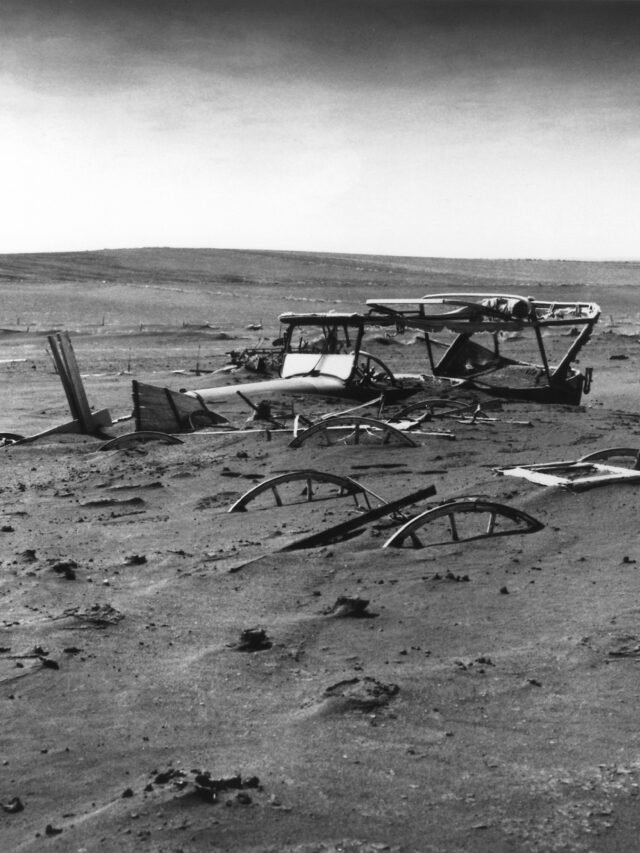 Historic Disasters That Inspired American Novels