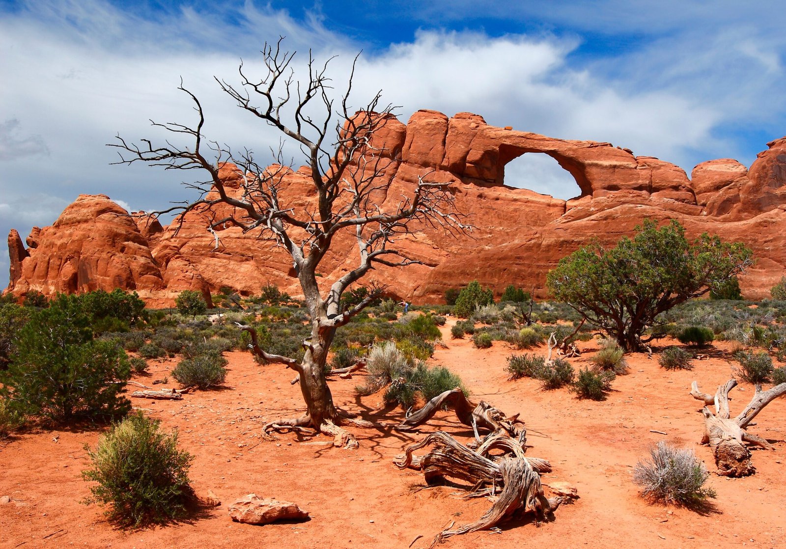Desert Solitaire by Edward Abbey (image credits: wikimedia)