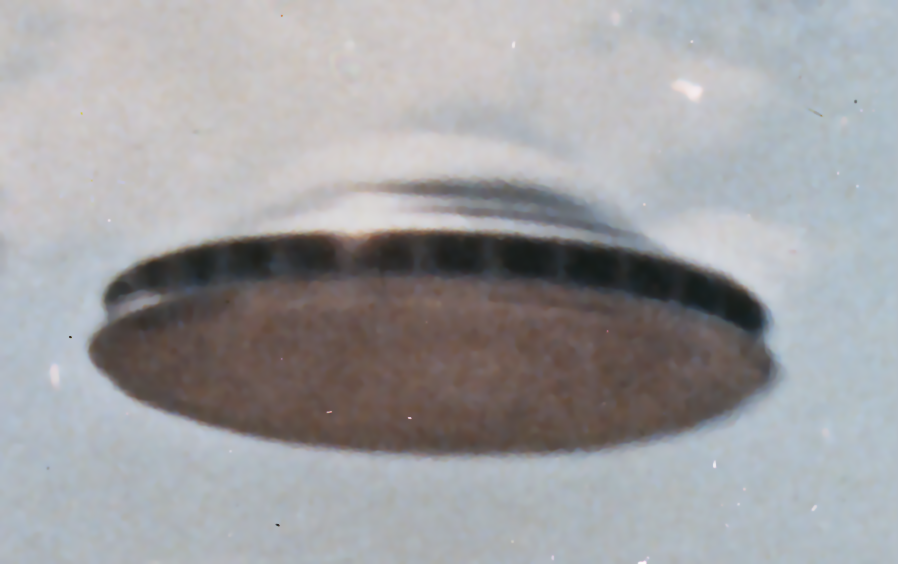 Project 1794: Flying Saucers Take Flight (image credits: wikimedia)