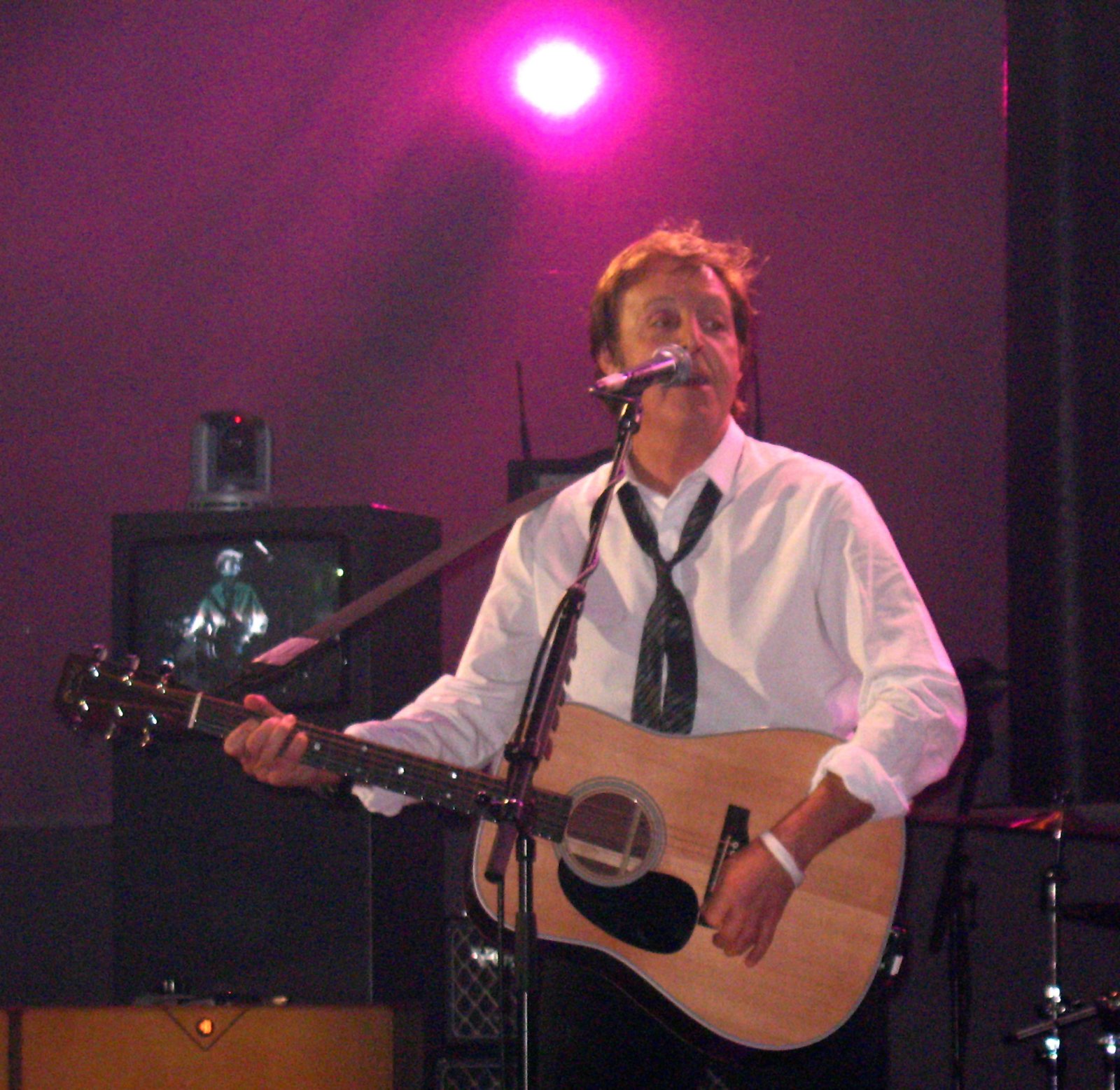 A Civil Rights Anthem Disguised as Nature (image credits: wikimedia)
