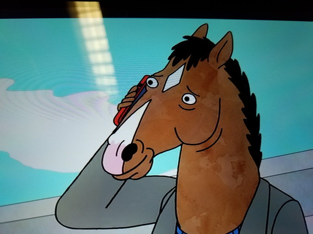 BoJack Horseman – Animation with Adult Themes (image credits: flickr)