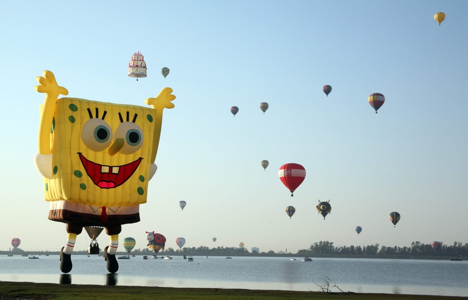 The Sponge Who Conquered the Internet (image credits: wikimedia)