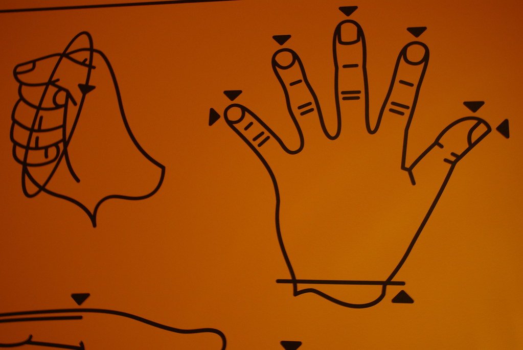 Body Parts as Universal Tools (image credits: flickr)
