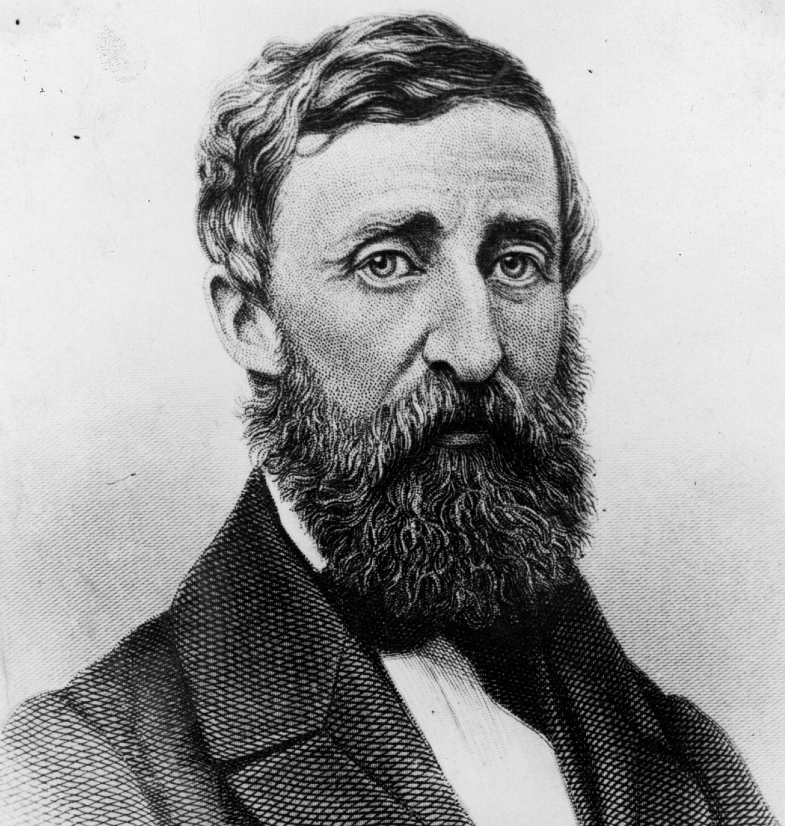 Thoreau's Civil Disobedience - The Conscience of Democracy (image credits: wikimedia)
