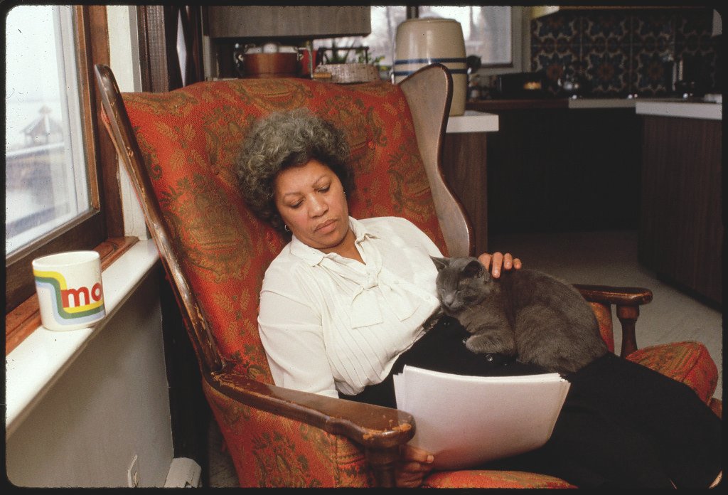 Toni Morrison's Song of Solomon Was Considered Too Radical for Schools (image credits: flickr)