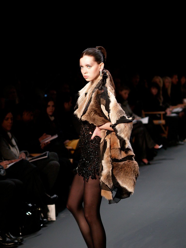 17. New York Fashion Week (image credits: flickr)