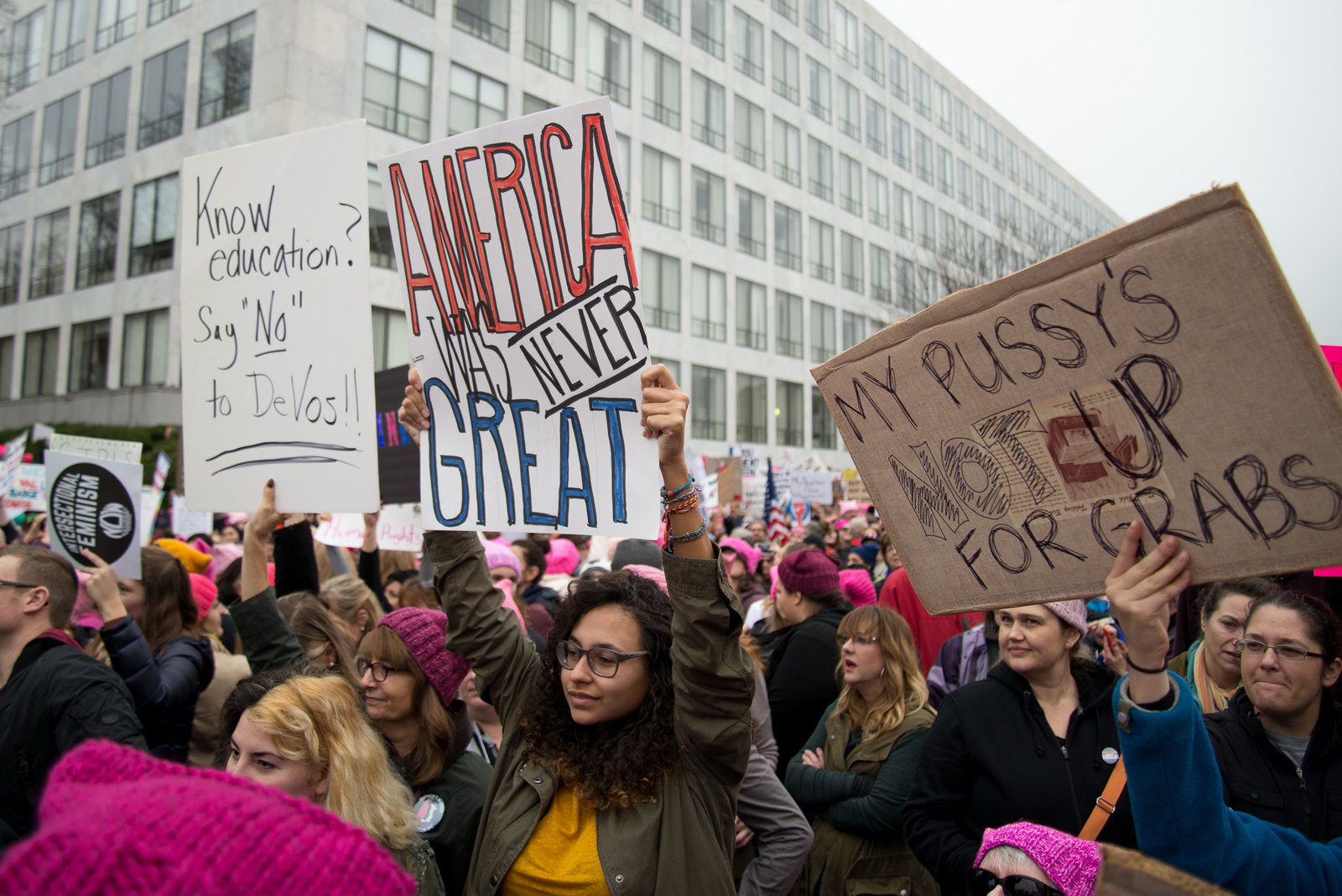 18. The Women’s March (2017) (image credits: wikimedia)