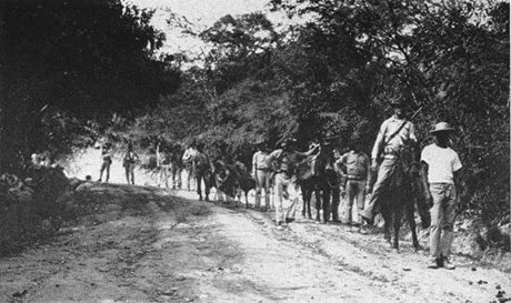 Occupation of Haiti (1915–1934) (image credits: wikimedia)